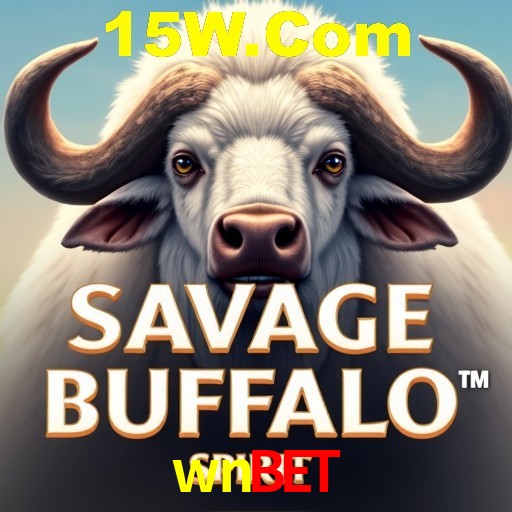 Casino Ao Vivo wnbet