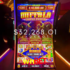Live Casino wnbet